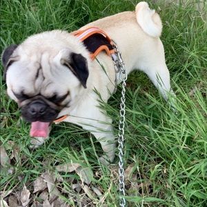 Meet your Posher, Katy